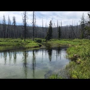 Meet your Posher, Ashlee